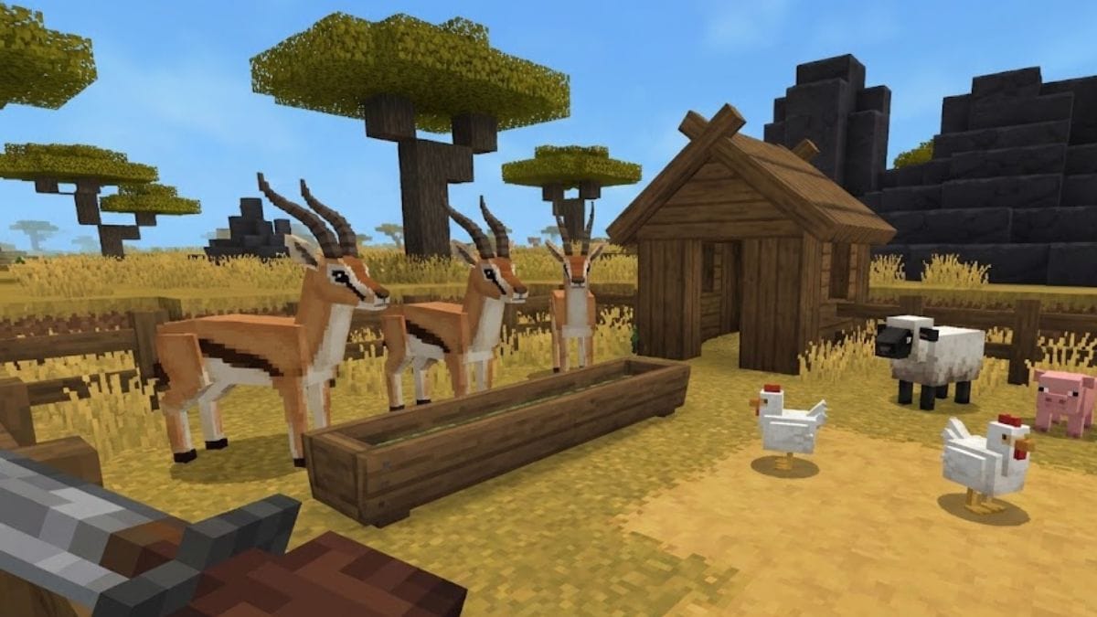 Comment élever et apprivoiser les animaux dans Hytale
