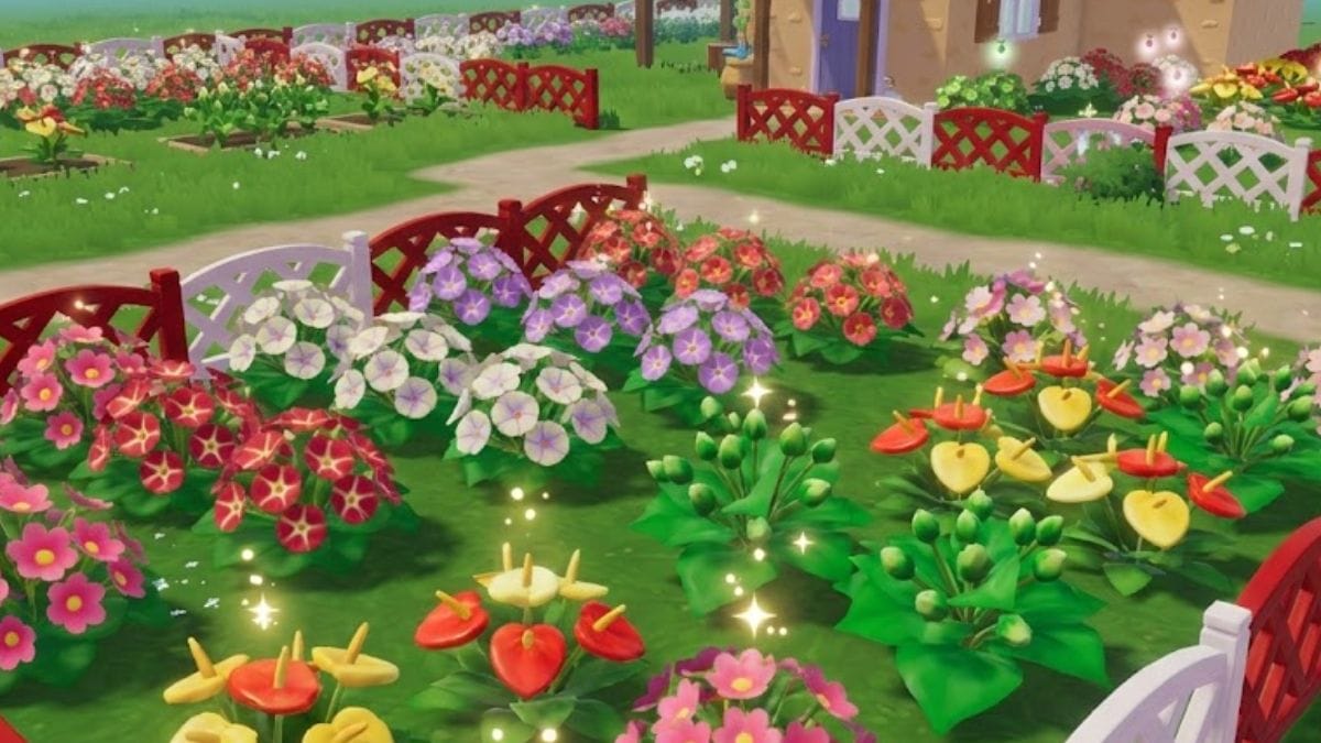 Hybridation des fleurs Heartopia