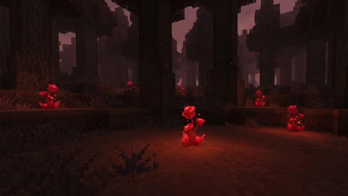 blood rose hytale