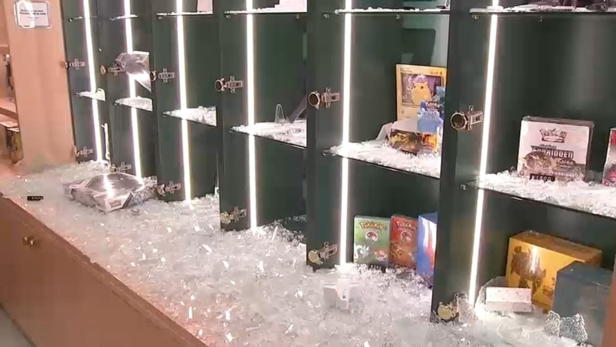 braquage pokemon manhattan 100000$