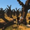 Drywood Hytale (bois sec) : Comment en obtenir facilement ?