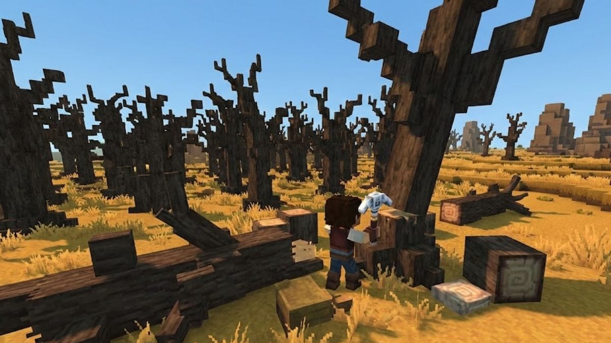 drywood hytale