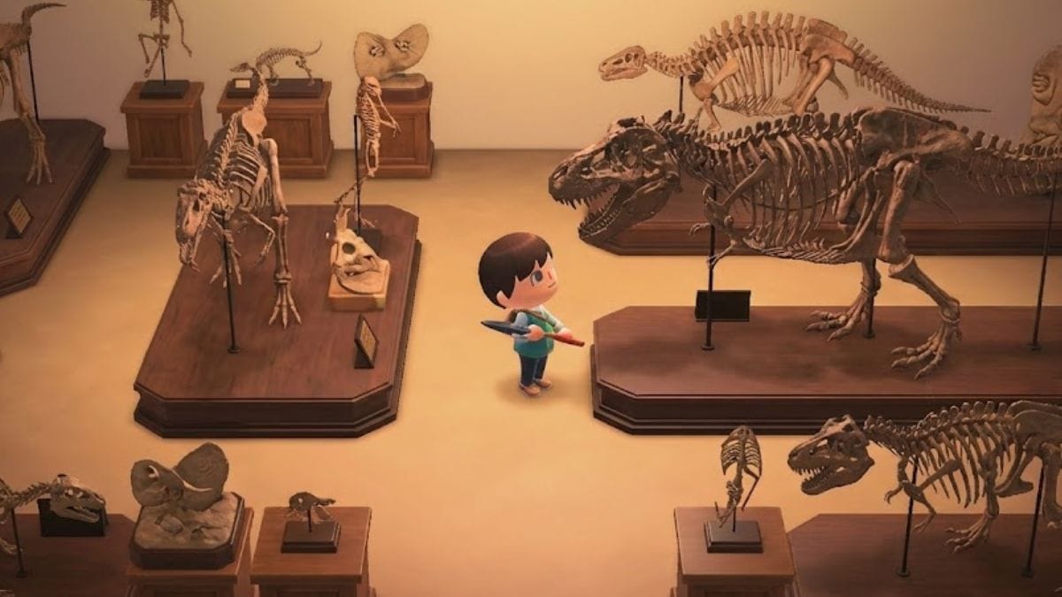 fossiles animal crossing new horizons