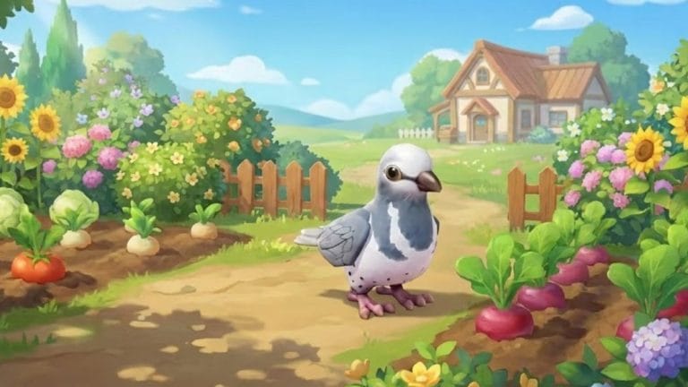 pigeon de wonga heartopia