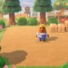 Resetti Animal Crossing : Comment l&rsquo;obtenir et bien l&rsquo;utiliser ?