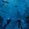 Subnautica 2 : la feuille de route Early Access dévoilée