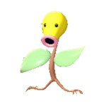 Chétiflor