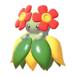 Joliflor