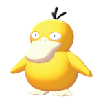 Psykokwak