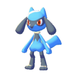 Riolu