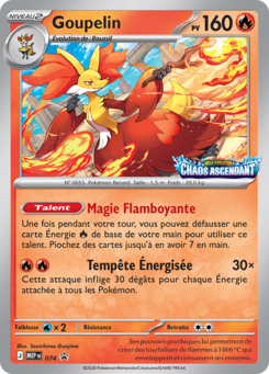 Carte Goupelin, MEP Black Star Promos