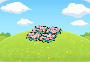 Joli parterre de fleurs