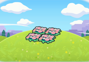 Parterre de fleurs en altitude