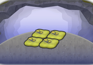 Habitat Coin moussu dans Pokémon Pokopia