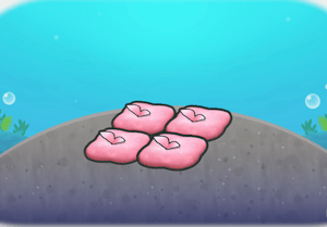 Habitat Coin moussu marin dans Pokémon Pokopia