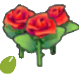 Graines de fleurs sublimes