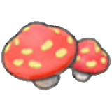 Champignons des grottes