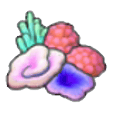 Coraux multicolores