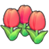Fleurs ravissantes