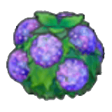 Buisson humide