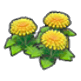 Fleurs paisibles