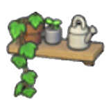 Étagère avec plantes
