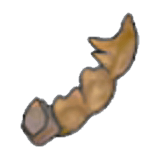 Fossile Tyran (queue)