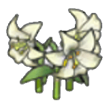Fleurs élégantes
