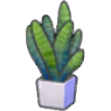 Plante aux feuilles plates