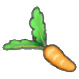 Carotte mûre