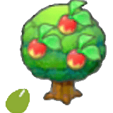 Graine Mepo