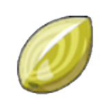 Graine Miracle