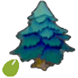Graine d'arbre pointu