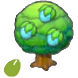Graine Fraive
