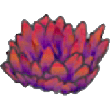 Herbe rouge