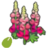 Graines de fleurs résistantes