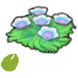 Graines de fleurs des fonds marins