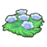 Fleurs des fonds marins
