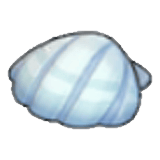 Coquillage
