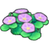 Fleurs maritimes