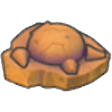 Fossile Crâne