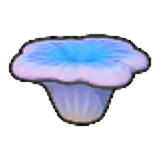 Corail de petite taille