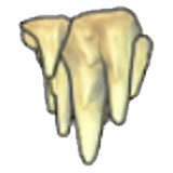 Stalactites