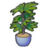 Arbuste élancé en pot