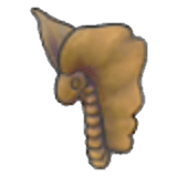 Fossile Toundra (tête)