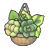 Plante murale