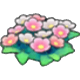 Fleurs sauvages