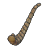 Fossile Aile (queue)
