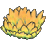 Herbe jaune