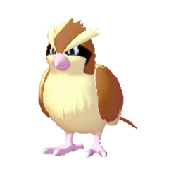 Roucool dans Pokémon Pokopia